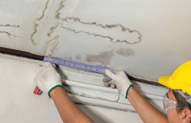Reliable Water Damage contractor in Niantic, CT by Water Damage Irwin